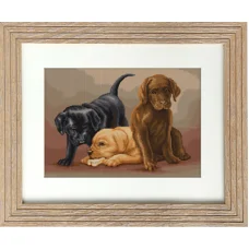 B435 Собачки. Набор для вышивки нитками. Luca-s