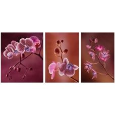 М-11006 Триптих Розовые орхидеи. Набор для вышивки бисером ТМ Miniart Crafts