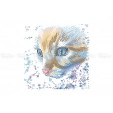 50-349 (30*40) Акварельный кот. Схема для вышивки бисером. Бисерок