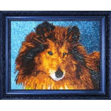 БФ-567 Колли. Набор для вышивки бисером Батерфляй