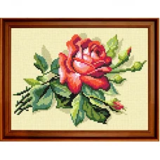 Н-045 Красная роза. Канва для вышивания нитками Чаривниця