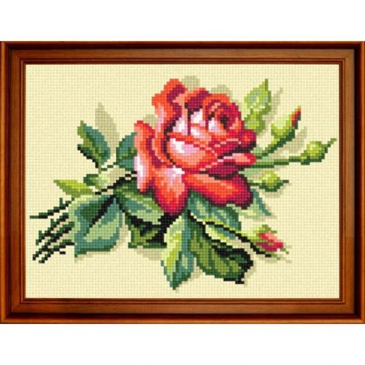 Н-045 Красная роза. Канва для вышивания нитками Чаривниця