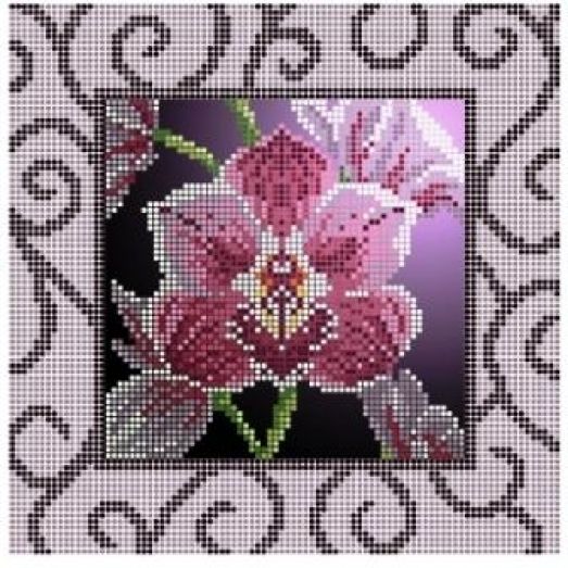 ЧВ-3157  Орхидея. Схема для вышивки бисером. Бисерок