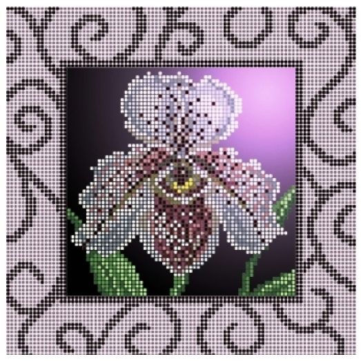ЧВ-3159 "Орхидея". Схема для вышивки бисером. Бисерок