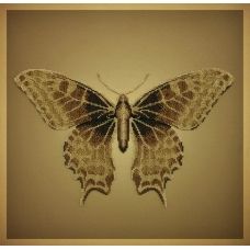 М-55017 Золотая бабочка. Набор для вышивки бисером ТМ Miniart Crafts