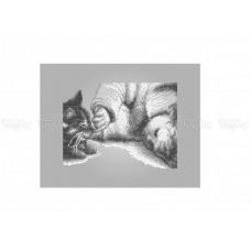 ЧВ-5192-С Младенец с котенком (серый фон). Схема для вышивки бисером. Бисерок 