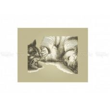 ЧВ-5192-К Младенец с котенком (коричневый фон). Схема для вышивки бисером. Бисерок 