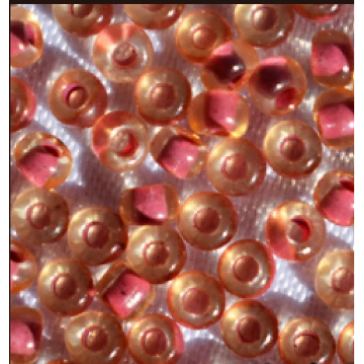 80827 Бисер Preciosa