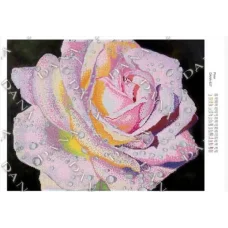 ДАНА-827 Роза. Схема для вышивки бисером