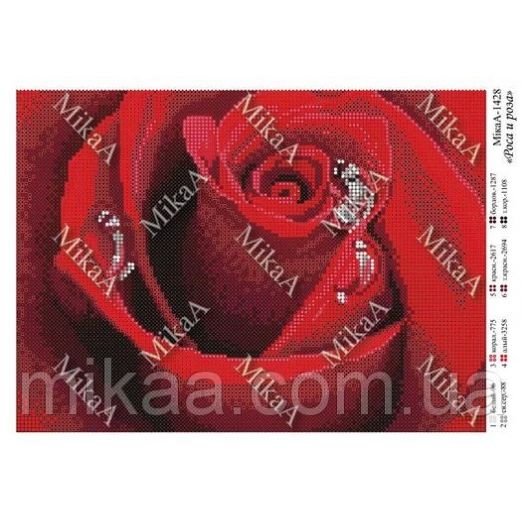 МИКА-1428 (А4) Роса и роза. Схема для вышивки бисером