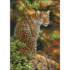 ФПК-2051 Взгляд леопарда. Схема для вышивки бисером Феникс