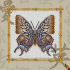 ФПК-3218 Африканские бабочки Полиура дехана. Схема для вышивки бисером Феникс