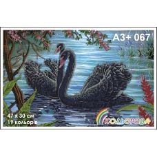 КЛВ-067 (А3+) Черные лебеди. Схема для вышивки бисером Кольорова