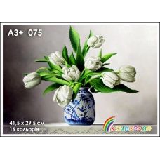 КЛВ-075 (А3+) Белые тюльпаны. Схема для вышивки бисером Кольорова