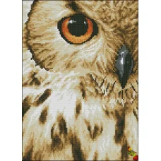 ФПК-4097 Взгляд совы. Схема для вышивки бисером Феникс