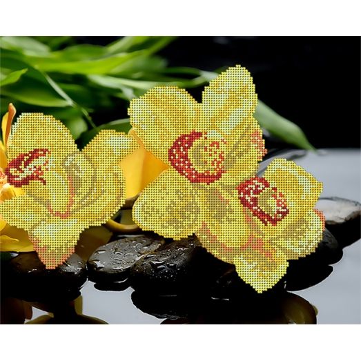 АК3-045 Жёлтые орхидеи. Схема для вышивки бисером А-Строчка