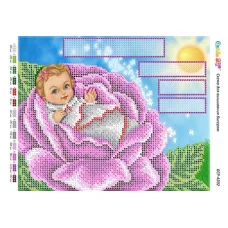 БС-4202 Метрика для девочки. Схема для вышивки бисером ТМ Сяйво
