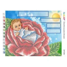 БС-4203 Метрика для мальчика. Схема для вышивки бисером ТМ Сяйво
