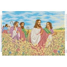 БСР-2058 Иисус Христос с апостолами в пшеничном поле. Схема для вышивки бисером ТМ Сяйво БСР