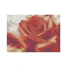 А4-К-783 Цветок розы. Схема для вышивки бисером ТМ Acorns