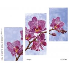 ДАНА-0041 Орхидея. Схема для вышивки бисером