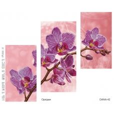 ДАНА-0042 Орхидея. Схема для вышивки бисером