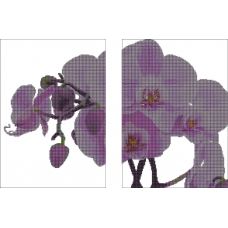КМД-2001 Диптих.Орхидея на белом Схема для вышивки бисером Краина Моих Мрий