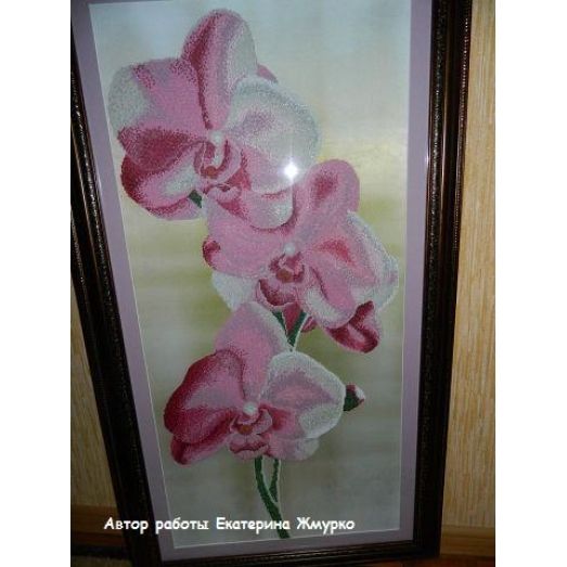 ТК-005 Нежные орхидеи. Схема для вышивки бисером. Барвиста Вишиванка
