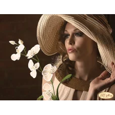 ТА-131 Мадмуазель Жанетт. Схема для вышивки бисером Тела Артис