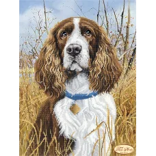 ТА-191 Спаниель. Схема для вышивки бисером Тела Артис