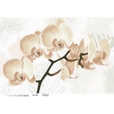 ТК-102 Орхидея. Схема для вышивки бисером Барвиста Вишиванка