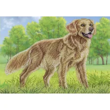 А4-К-1216 Золотистый ретривер. Схема для вышивки бисером ТМ Acorns