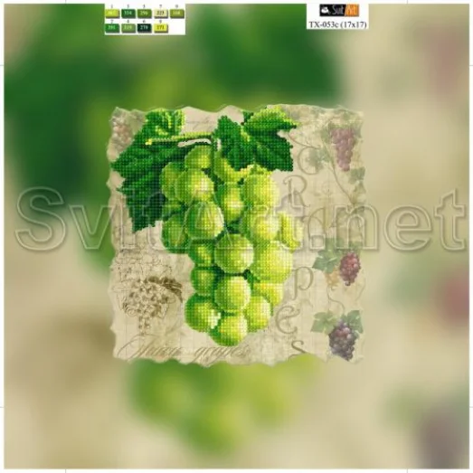 TX-053c(21*21) ХОЛСТ. Виноград. Схема для вышивки СвитАрт