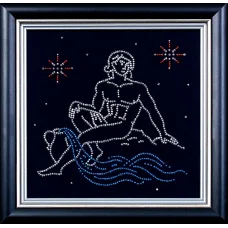 БГ-004 Водолей. Набор для вышивки Магия канвы