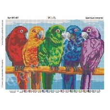 ВП-407 Цветные попугаи. Схема для вышивки бисером Фея Вышивки