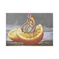 А4-К-997 Завтрак заморской бабочки. Схема для вышивки бисером ТМ Acorns